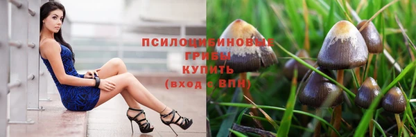 ПСИЛОЦИБИНОВЫЕ ГРИБЫ Богородск
