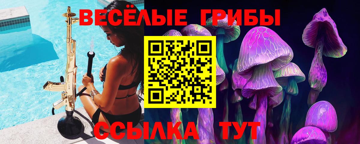 Псилоцибиновые грибы мицелий  Вход с VPN  Пермь 